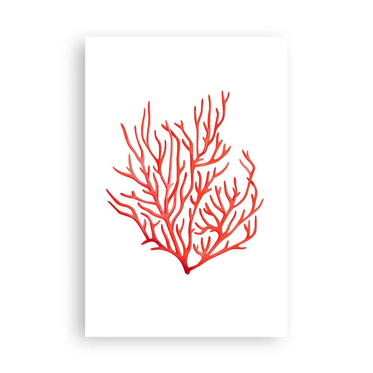 Poster - Korallenfiligran - 61x91 cm