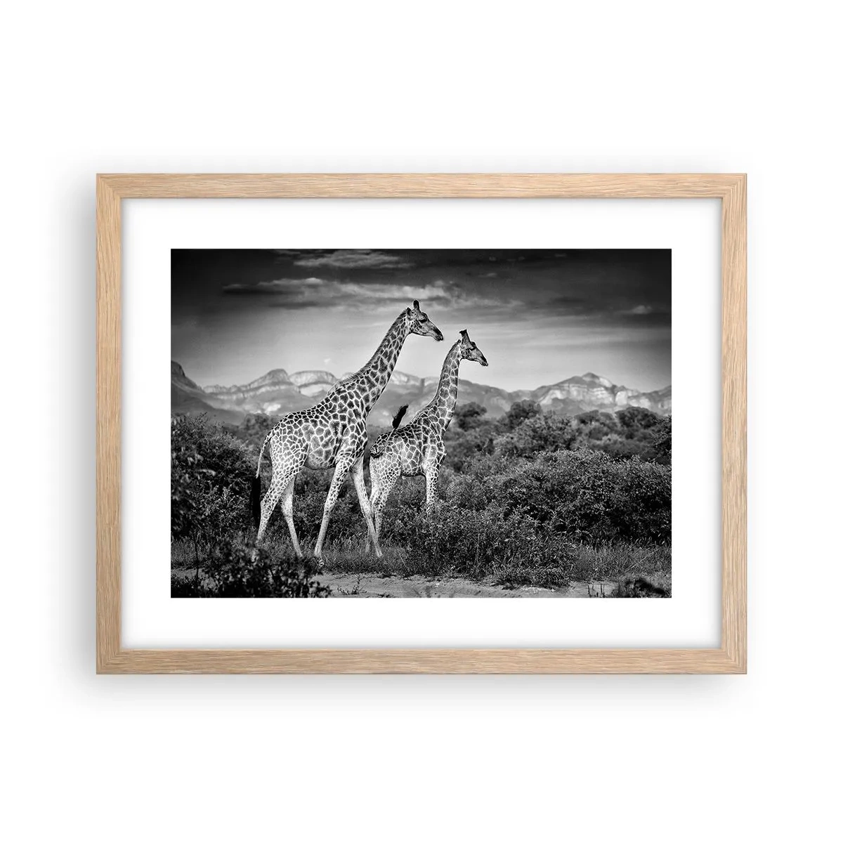 Poster in einem Rahmen aus heller Eiche - Hohe Sphären in Afrika - 40x30 cm