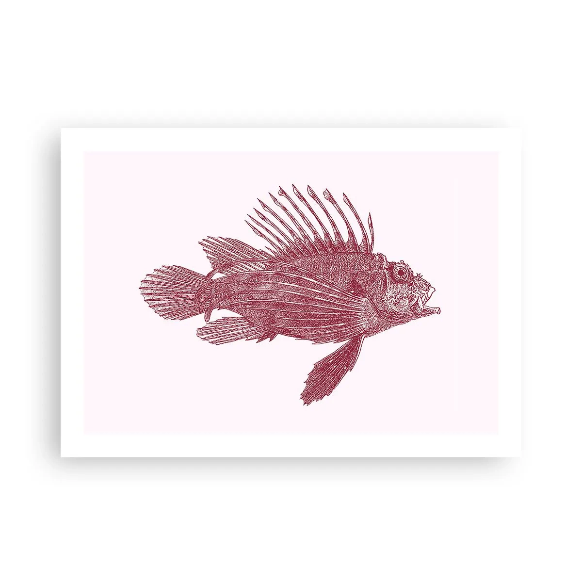Poster - Bewohner exotischer Gewässer - 70x50 cm