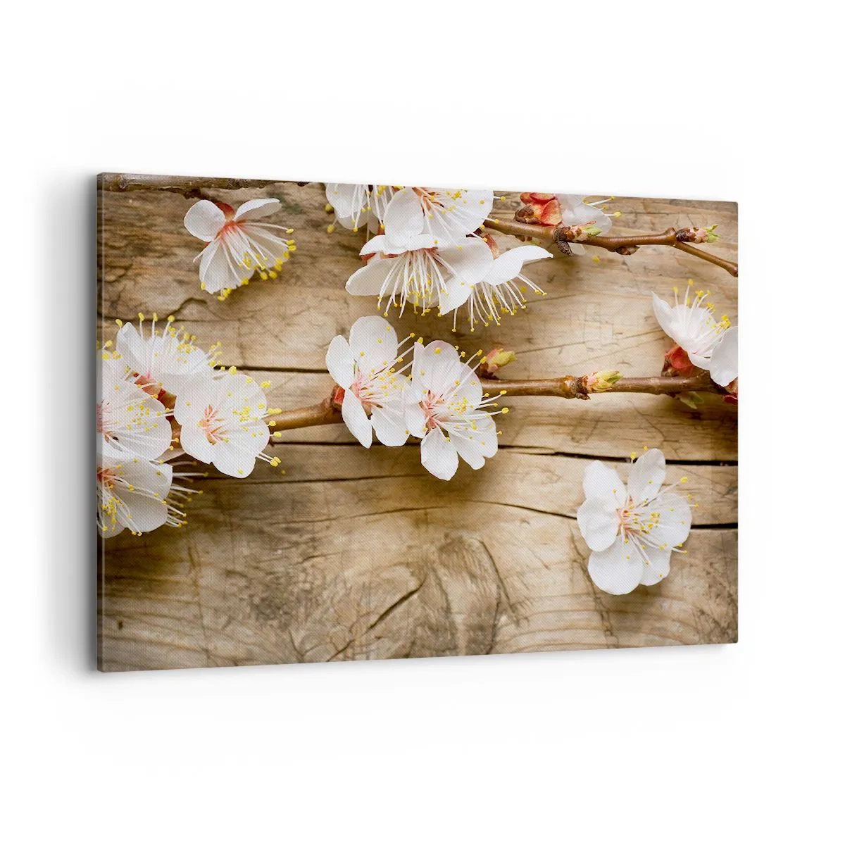 Bild auf Leinwand - Leinwandbild - Zweige blühender Kirschbäume auf einem Holzbretthintergrund - 100x70cm - Und es war Frühling - Moderne Wanddekoration für Wohnzimmer und Schlafzimmer ARTTOR