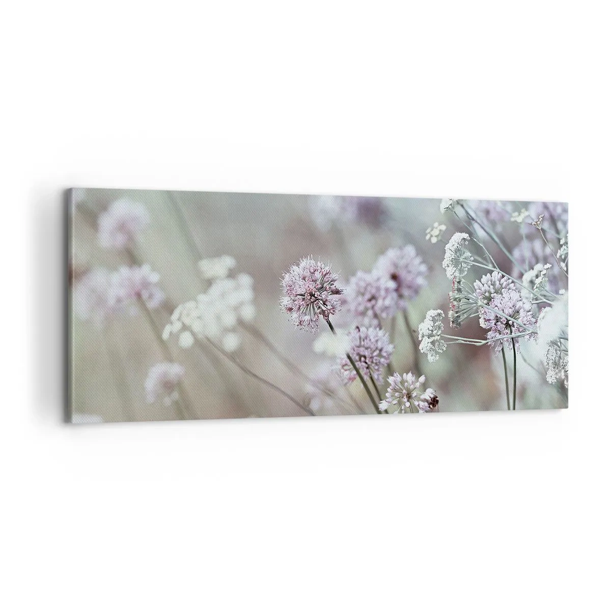 Bild auf Leinwand - Leinwandbild - Süße filigrane Kräuter - 100x40 cm