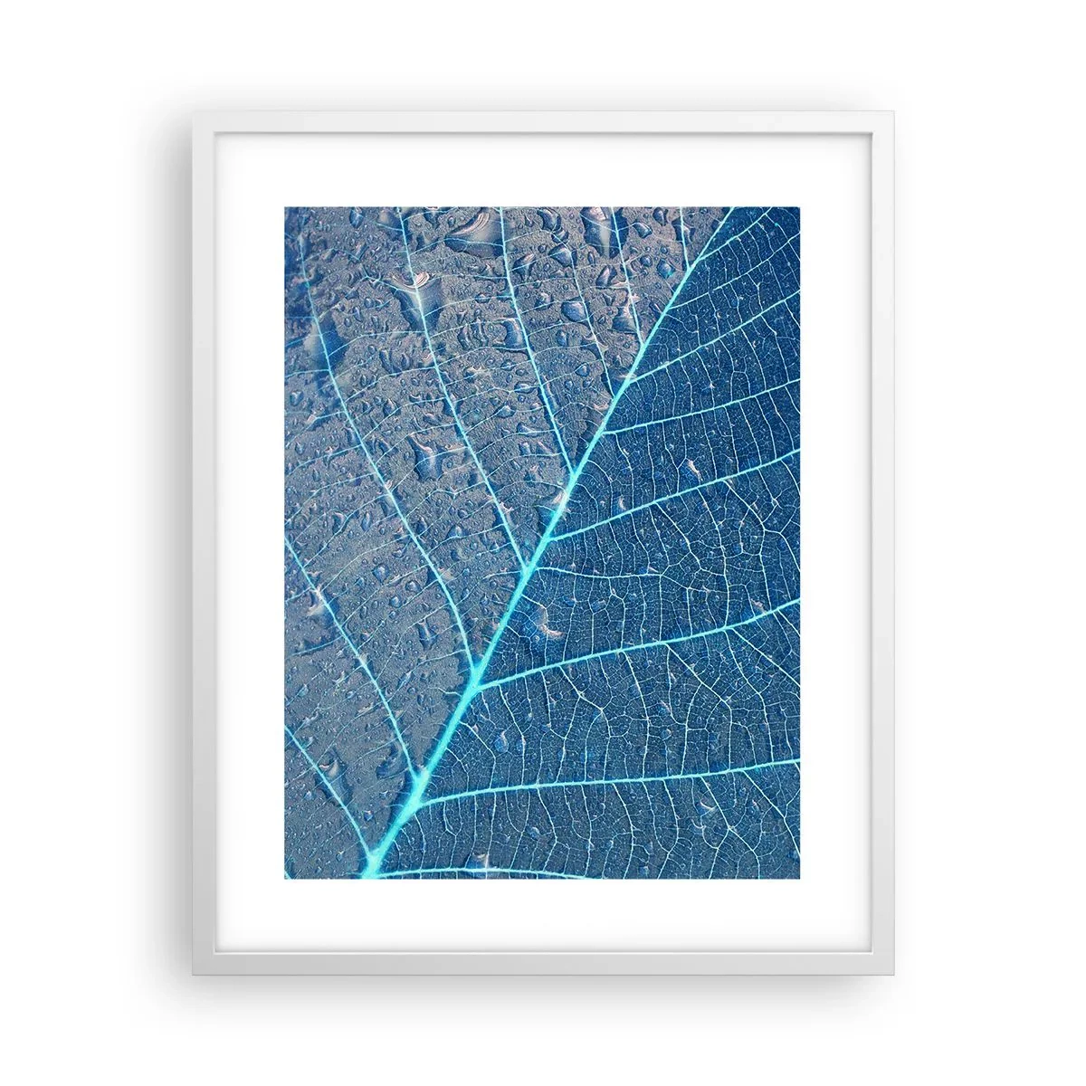 Poster in einem weißen Rahmen - Leben in Blau - 40x50 cm