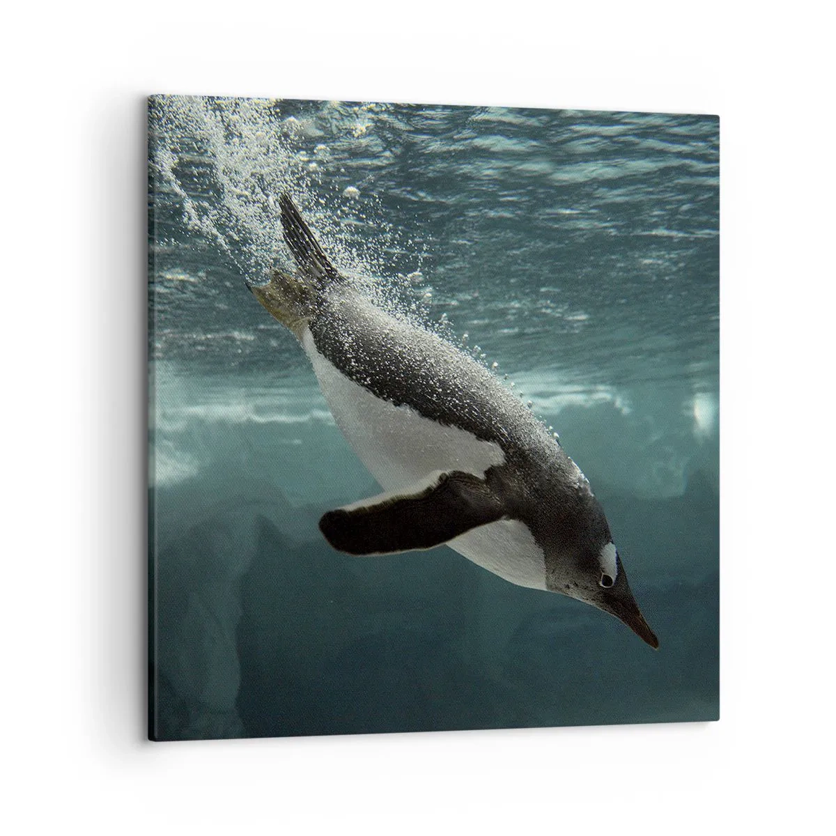 Bild auf Leinwand - Leinwandbild - Willkommen in meiner Welt - 50x50 cm