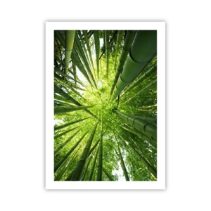 Poster - Blick hinauf in den dichten Bambuswald - 50x70cm - In einem Bambushain - Moderne Wanddekoration für Wohnzimmer und Schlafzimmer ARTTOR