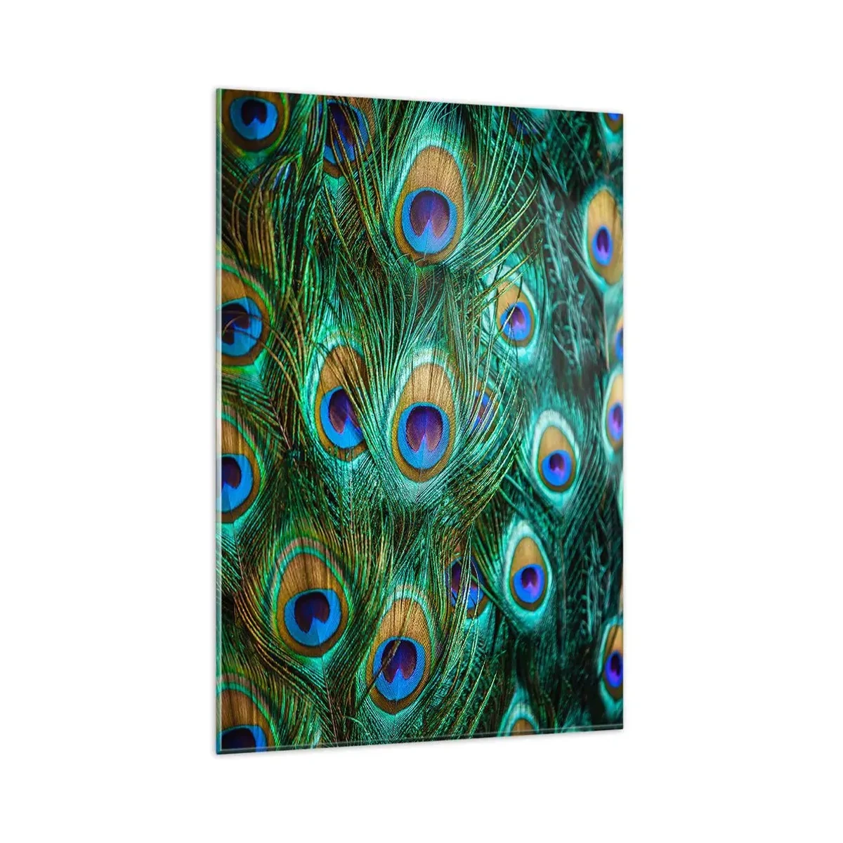 Glasbild - Bild auf glas - Details von Pfauenfedern in satten Farben - 80x120cm - Ein Blick mit Pfauenaugen - Moderne Wanddekoration für Wohnzimmer und Schlafzimmer ARTTOR