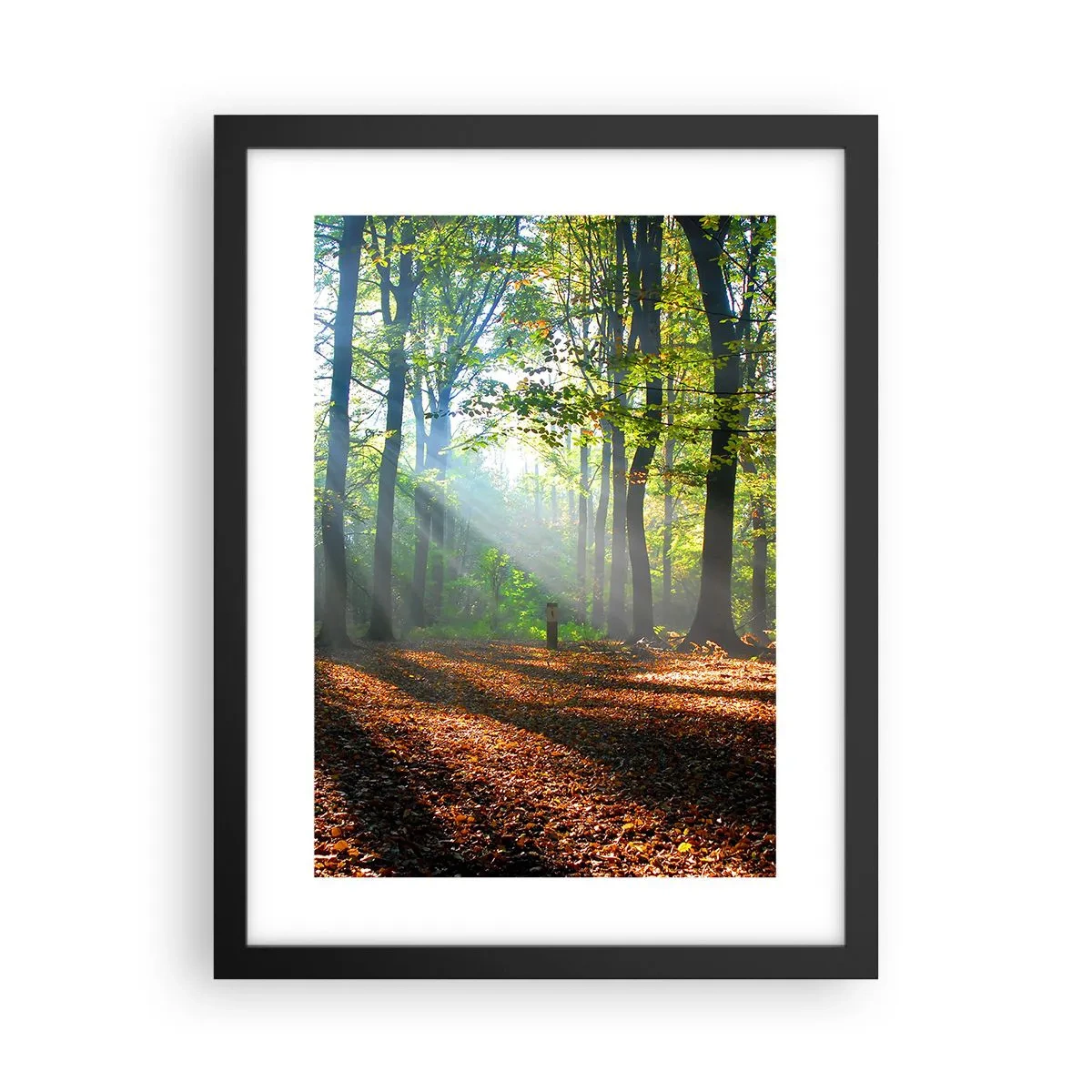 Poster in einem schwarzem Rahmen - Licht und Schatten - 30x40 cm