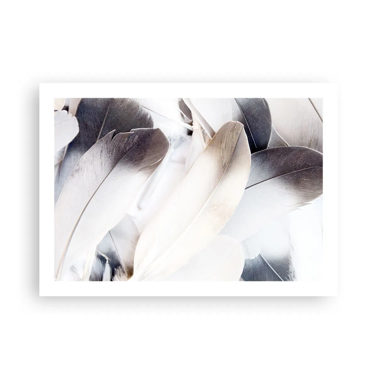 Poster - Fast engelhaft - 70x50 cm