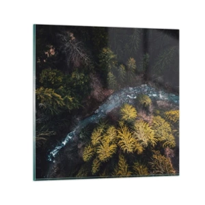 Glasbild - Bild auf glas - Schnell und immer schneller - 40x40 cm