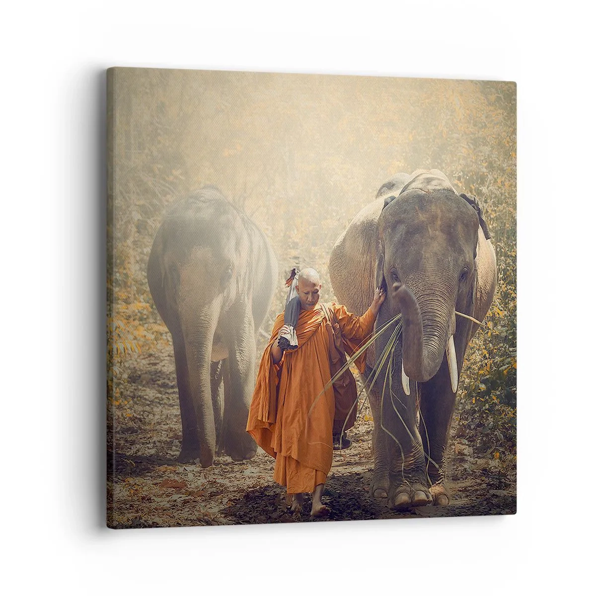 Bild auf Leinwand - Leinwandbild - Volles Verständnis - 40x40 cm