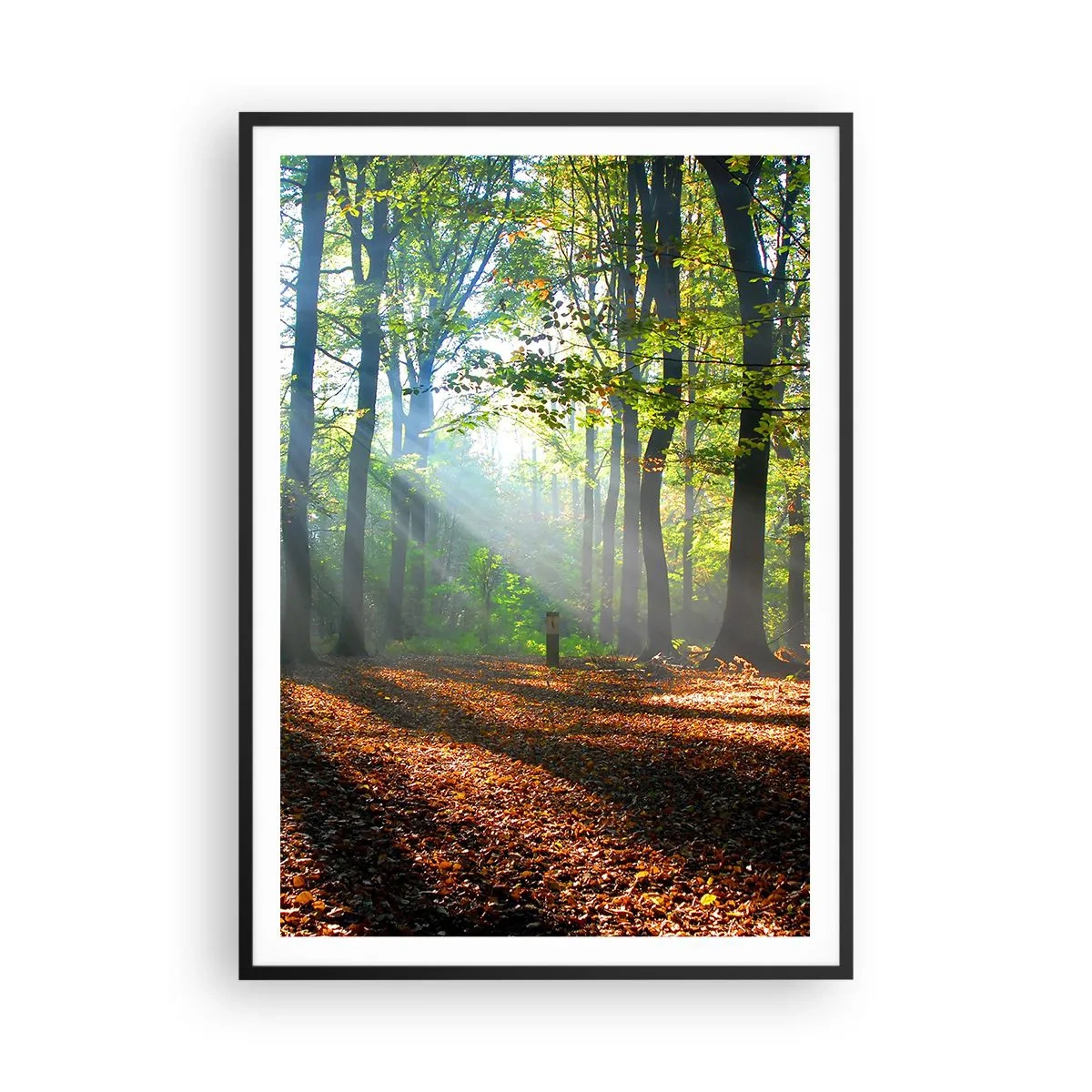 Poster in einem schwarzem Rahmen - Licht und Schatten - 70x100 cm