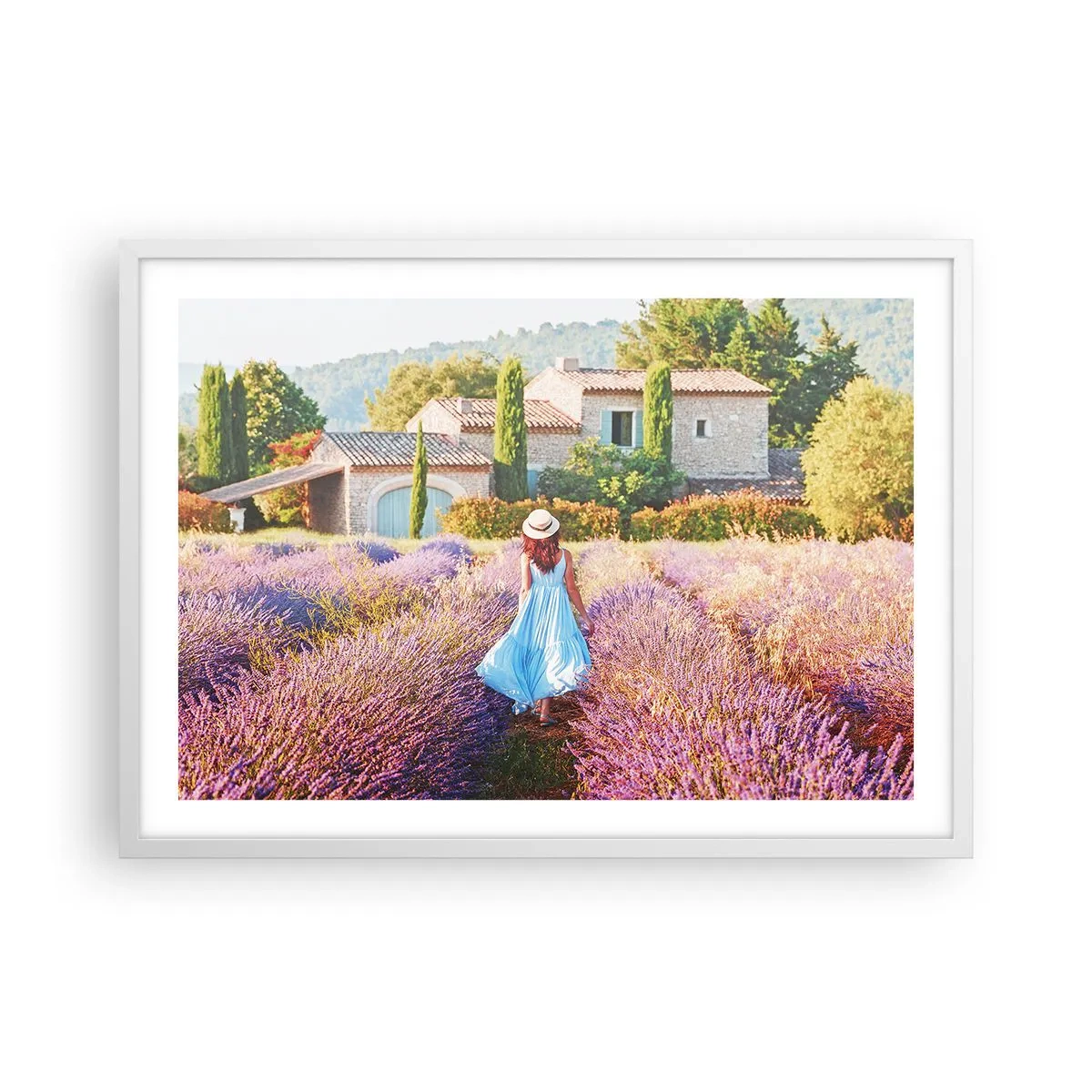 Poster in einem weißen Rahmen - Lavendel Mädchen - 70x50 cm