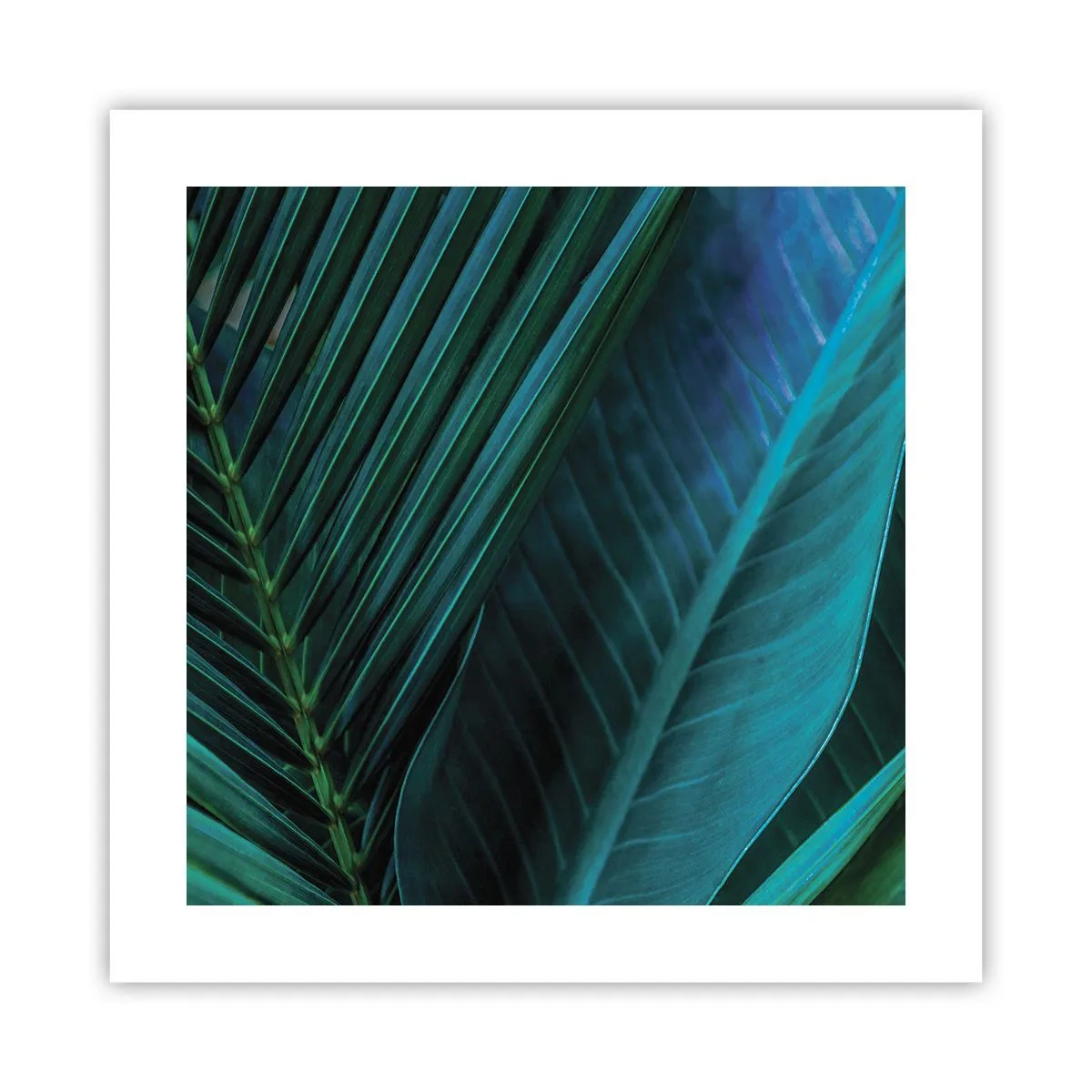 Poster - Die Anatomie des Grüns - 40x40 cm