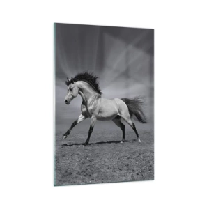 Glasbild - Bild auf glas - Ein schwarz-weißes Pferd in einer dynamischen Pose in der Wüste. - 70x100cm - Geboren um Freude zu bereiten - Moderne Wanddekoration für Wohnzimmer und Schlafzimmer ARTTOR