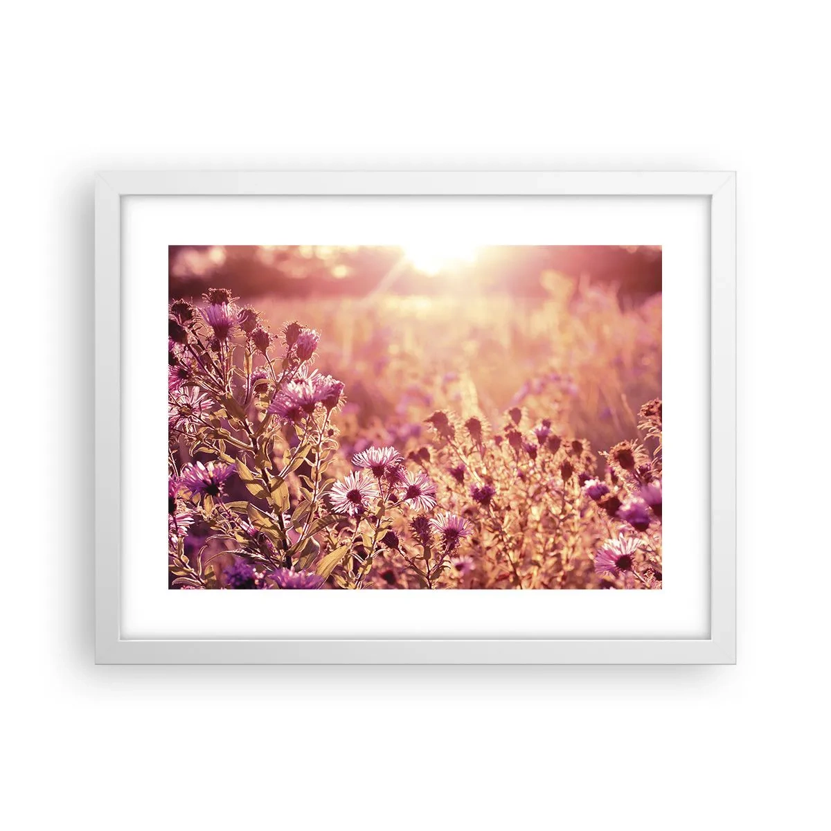 Poster in einem weißen Rahmen - Bevor der Sommer vorbei ist - 40x30 cm