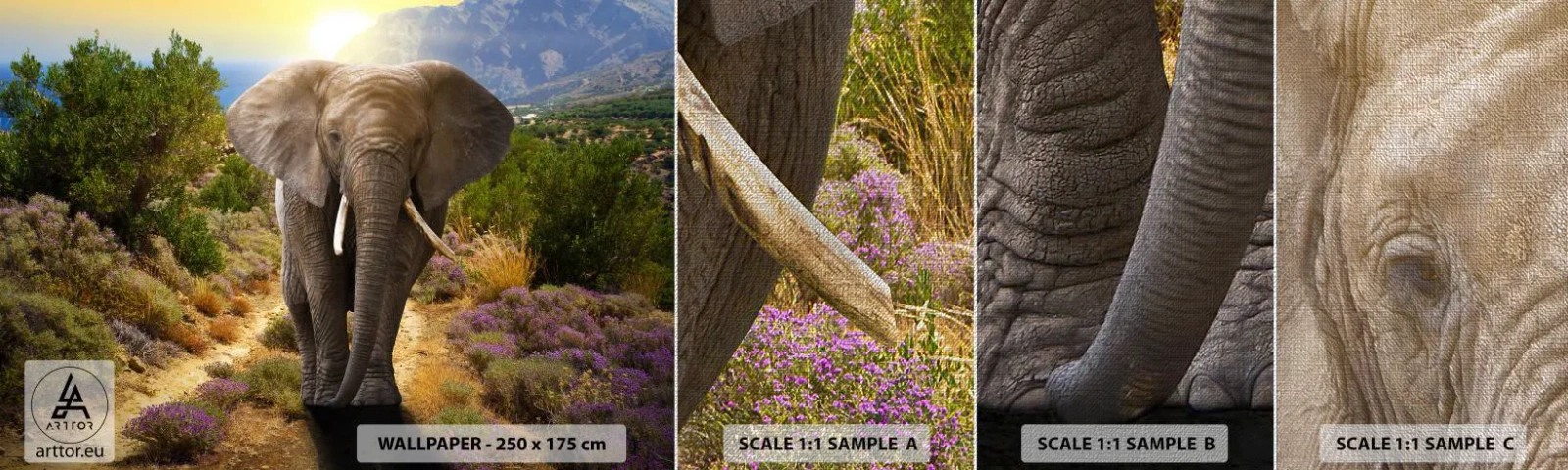 Fototapeten Muster Premium Canvas - So sah Eden aus - Tiere, Elefant, Safari - 100x30 cm