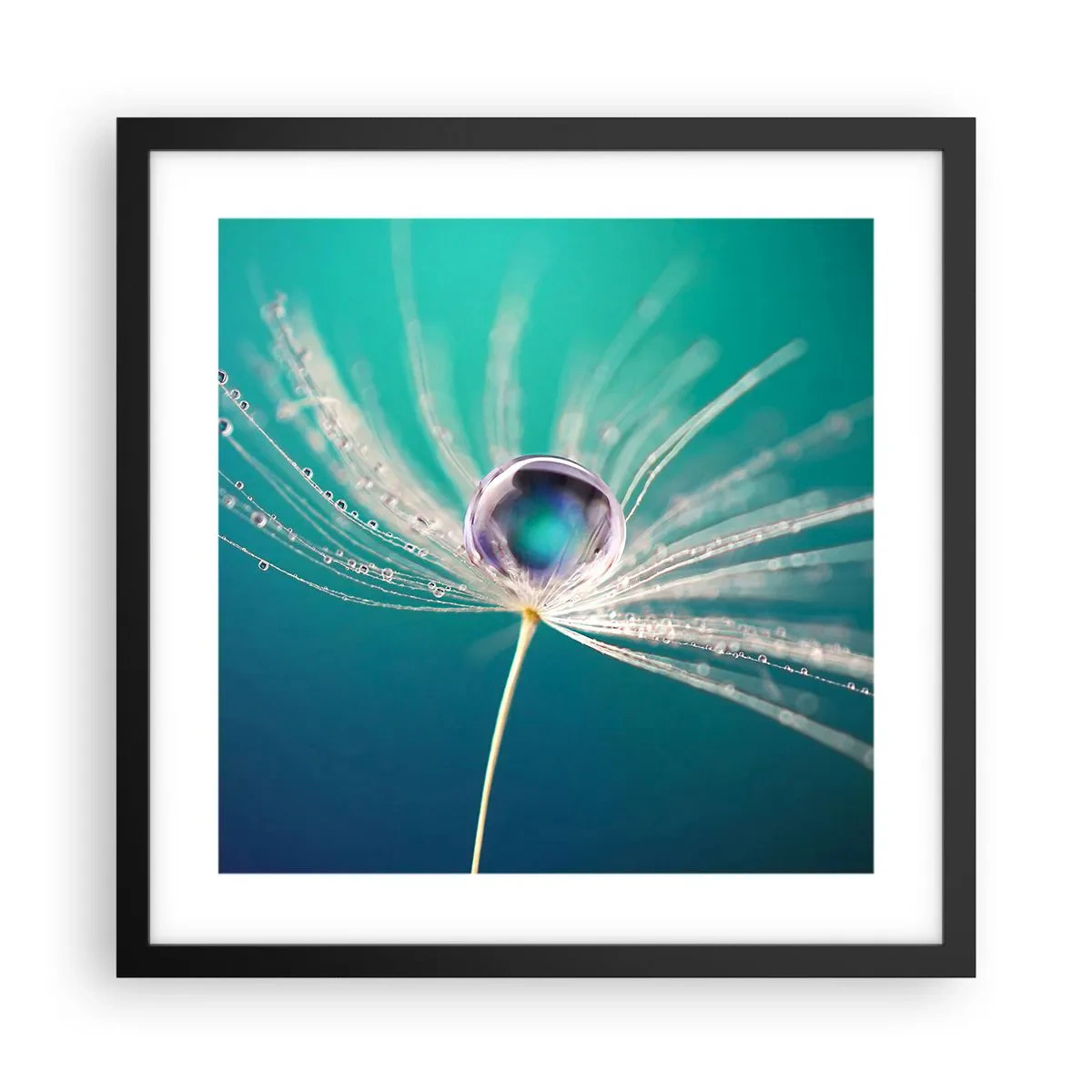 Poster in einem schwarzem Rahmen - Mystischer Moment - 40x40 cm
