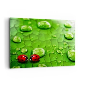 Bild auf Leinwand - Leinwandbild - Zwei Marienkäfer auf einem Blatt mit Wassertropfen in der Makrofotografie - 100x70cm - Treffen im Grünen - Moderne Wanddekoration für Wohnzimmer und Schlafzimmer ARTTOR