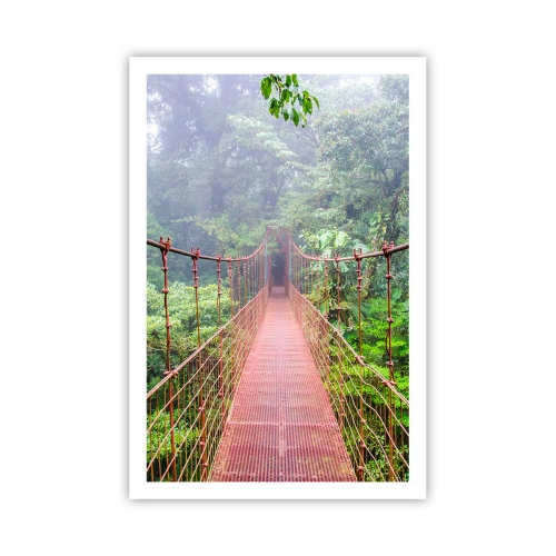 Poster - Über den Kronen aufgehängt - 61x91 cm