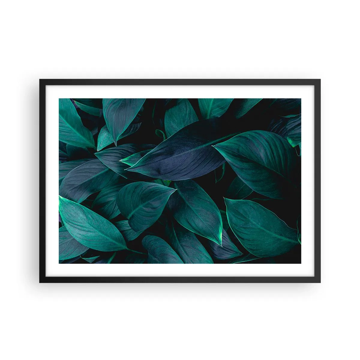 Poster in einem schwarzem Rahmen - Nahaufnahme von grünen Blättern mit dunklem Hintergrund - 70x50cm - Grün in sich selbst - Moderne Wanddekoration für Wohnzimmer und Schlafzimmer ARTTOR