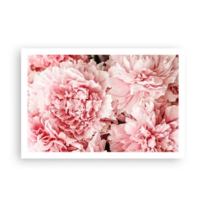 Poster - Rosa Traum - 91x61 cm