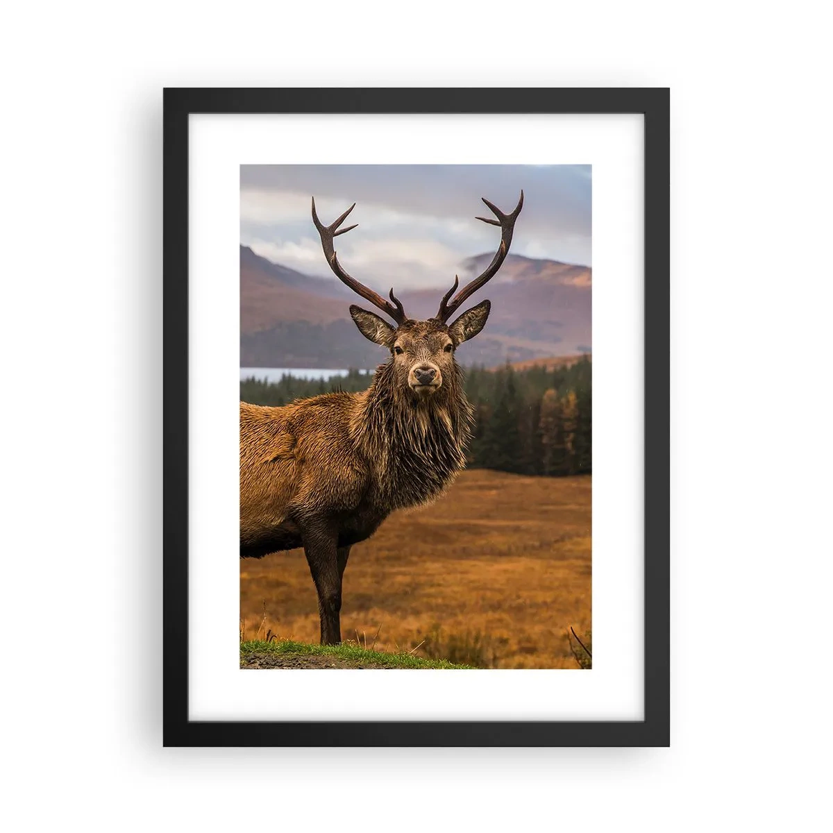 Poster in einem schwarzem Rahmen - Die Majestät der Natur - 30x40 cm