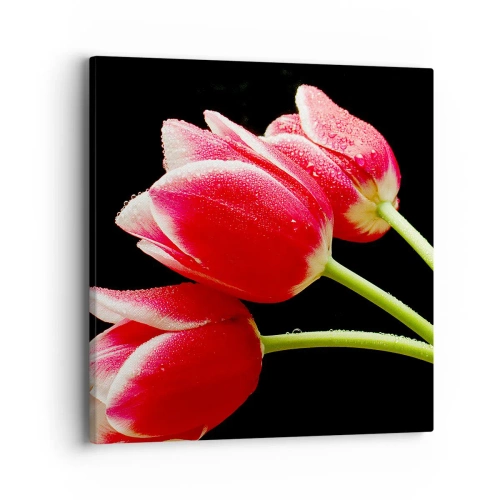 Bild auf Leinwand - Leinwandbild - Ein Versprechen der reinen Liebe - 40x40 cm