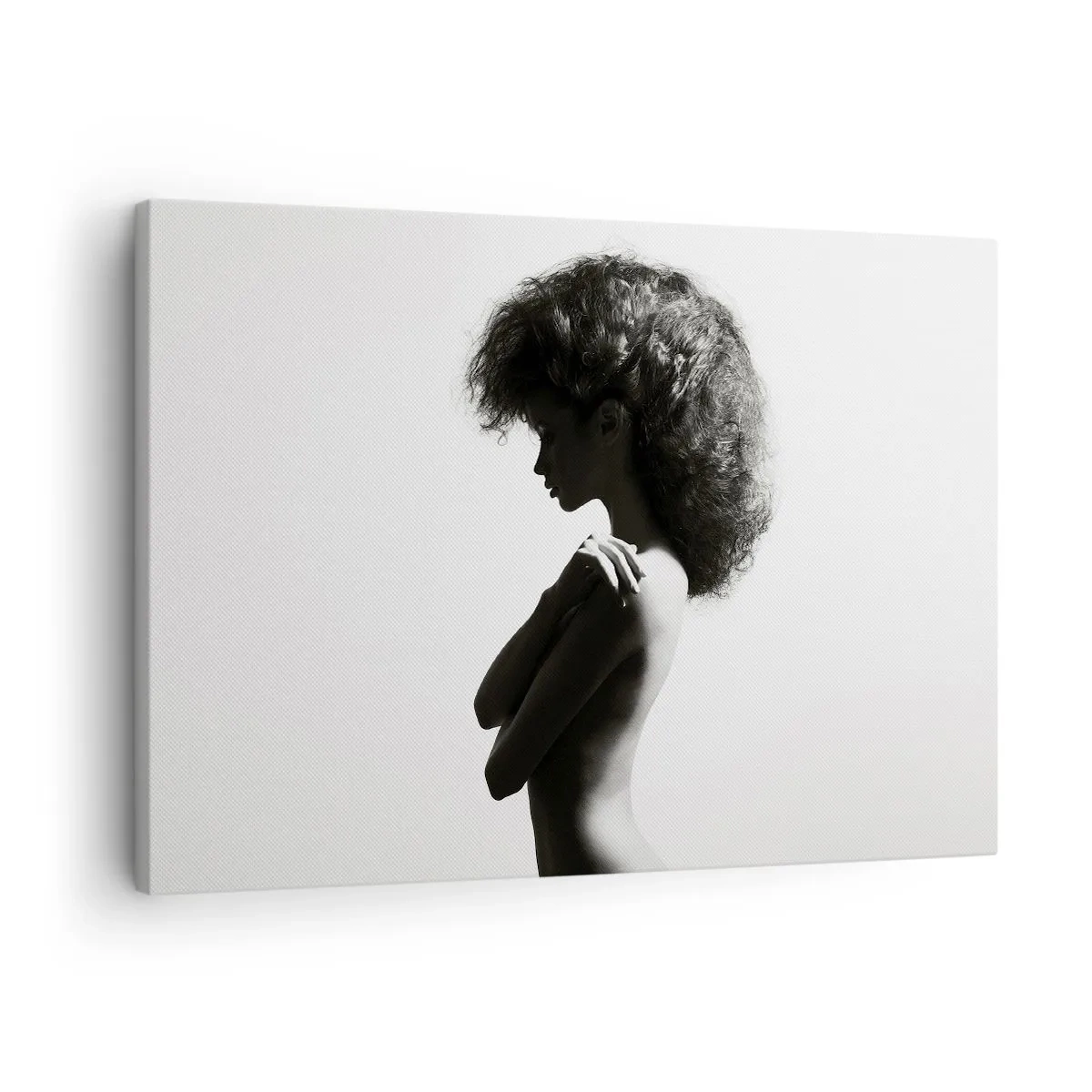 Bild auf Leinwand - Leinwandbild - Eine subtile Silhouette einer Frau in Schwarz-Weiß-Tönen auf hellem Hintergrund - 70x50cm - Wie eine Blume auf einem schlanken Stiel - Moderne Wanddekoration für Wohnzimmer und Schlafzimmer ARTTOR