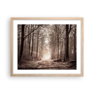 Poster in einem Rahmen aus heller Eiche - Waldkathedrale - 50x40 cm