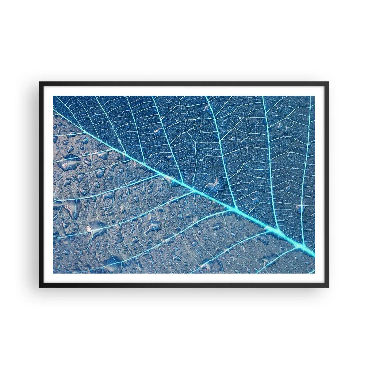 Poster in einem schwarzem Rahmen - Ein Blatt in Blautönen mit Wassertropfen - 100x70cm - Leben in Blau - Moderne Wanddekoration für Wohnzimmer und Schlafzimmer ARTTOR