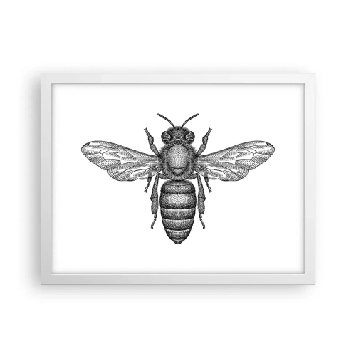 Poster in einem weißen Rahmen - Insektenporträt - 40x30 cm