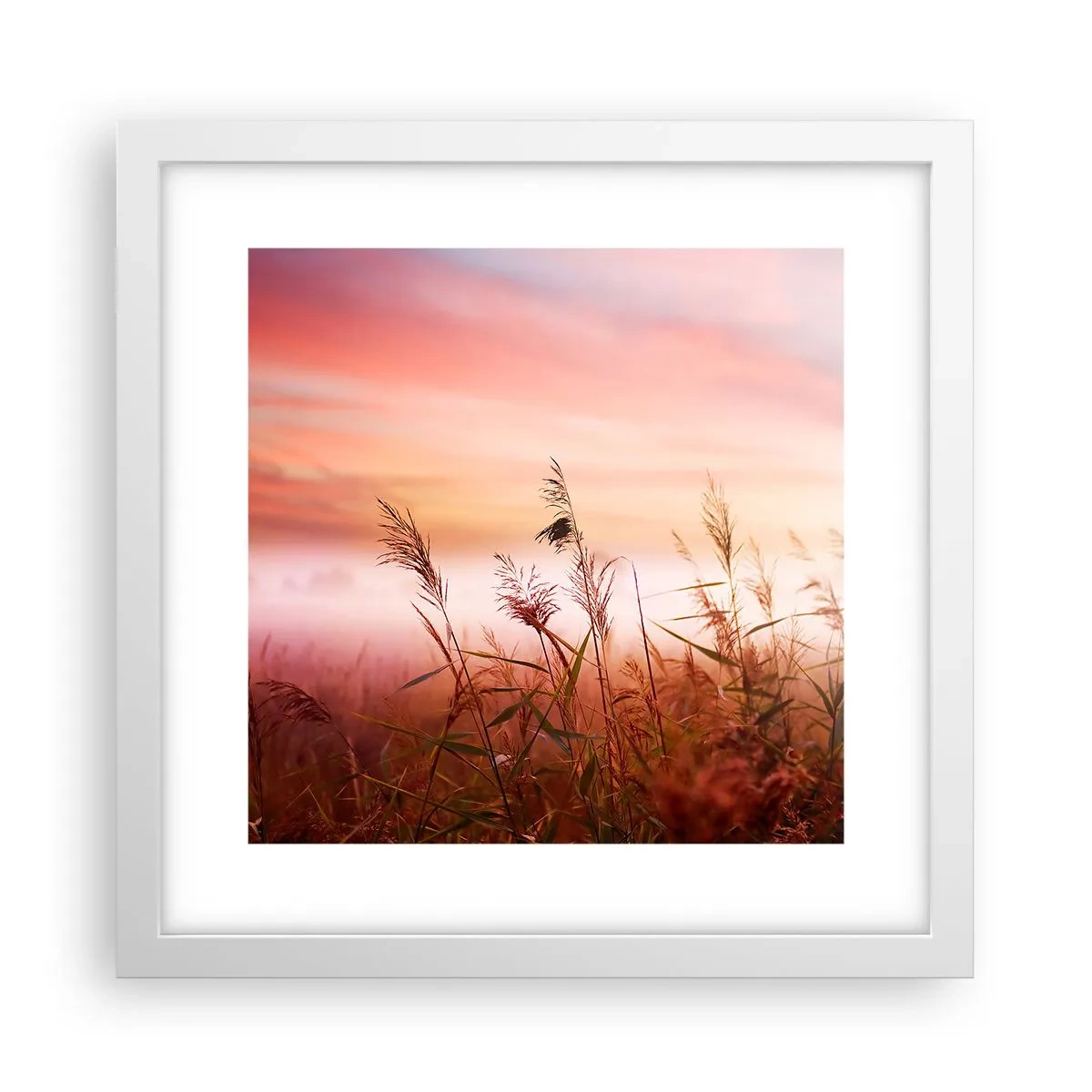 Poster in einem weißen Rahmen - Drachen, Löwenzahn, Wind - 30x30 cm