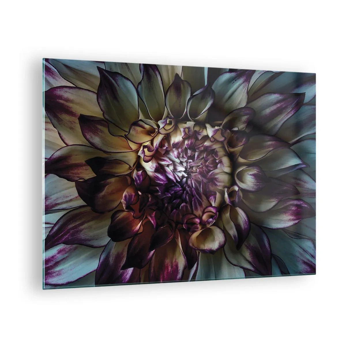 Glasbild - Bild auf glas - Nahaufnahme einer Blume in einer dunklen Farbpalette - 70x50cm - Die Blütezeit der Jugend - Moderne Wanddekoration für Wohnzimmer und Schlafzimmer ARTTOR