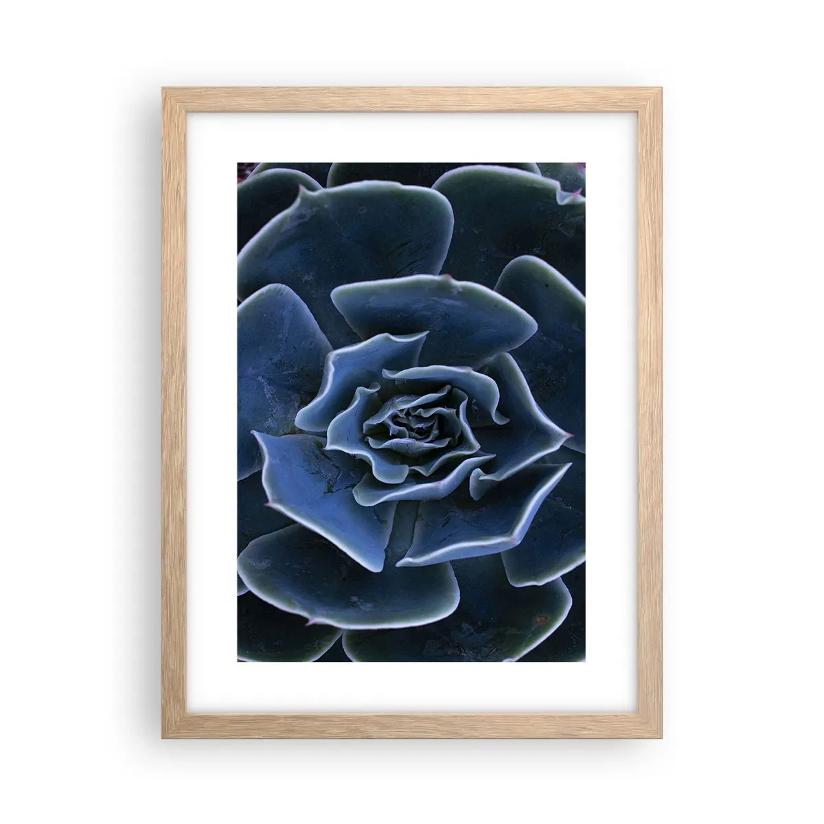 Poster in einem Rahmen aus heller Eiche - Wüstenblume - 30x40 cm