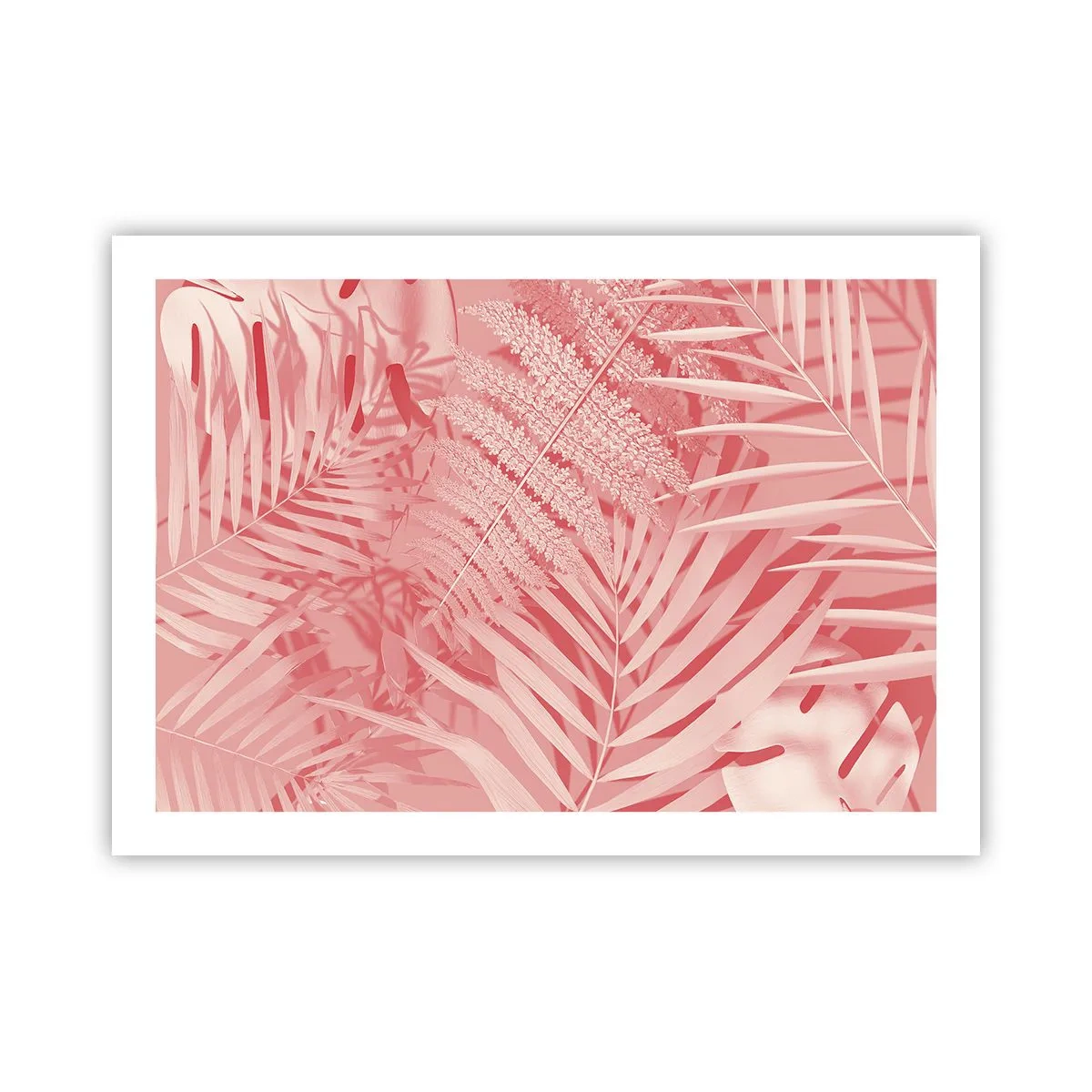 Poster - Rosa Konzept - 70x50 cm