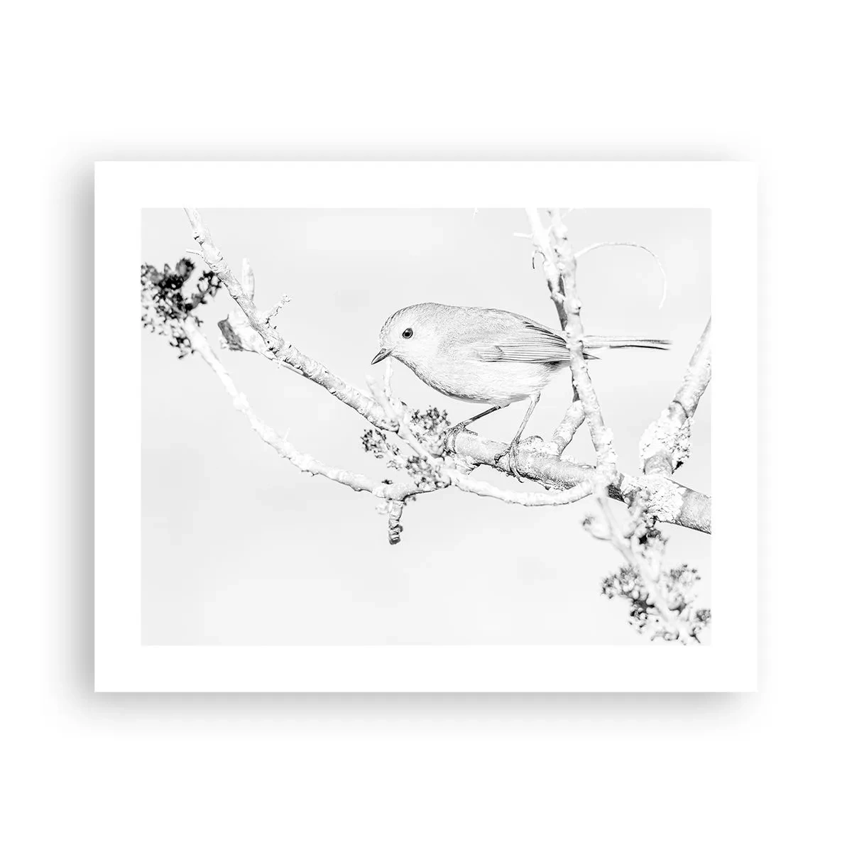 Poster - Wintermorgen - 50x40 cm