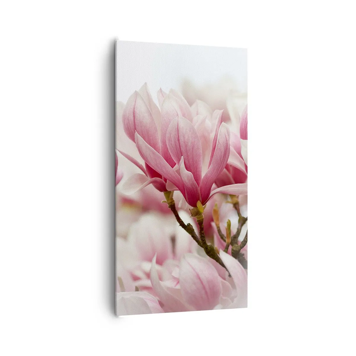 Bild auf Leinwand - Leinwandbild - Frühlingsblumen - 65x120 cm