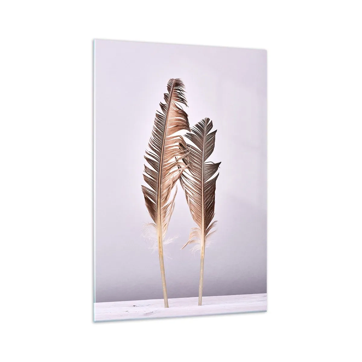 Glasbild - Bild auf glas - Zarte Federn auf hellem Untergrund im minimalistischen Stil - 70x100cm - Gegen das Nichts - Moderne Wanddekoration für Wohnzimmer und Schlafzimmer ARTTOR