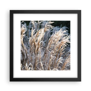 Poster in einem schwarzem Rahmen - Gekleidet mit Frost - 30x30 cm
