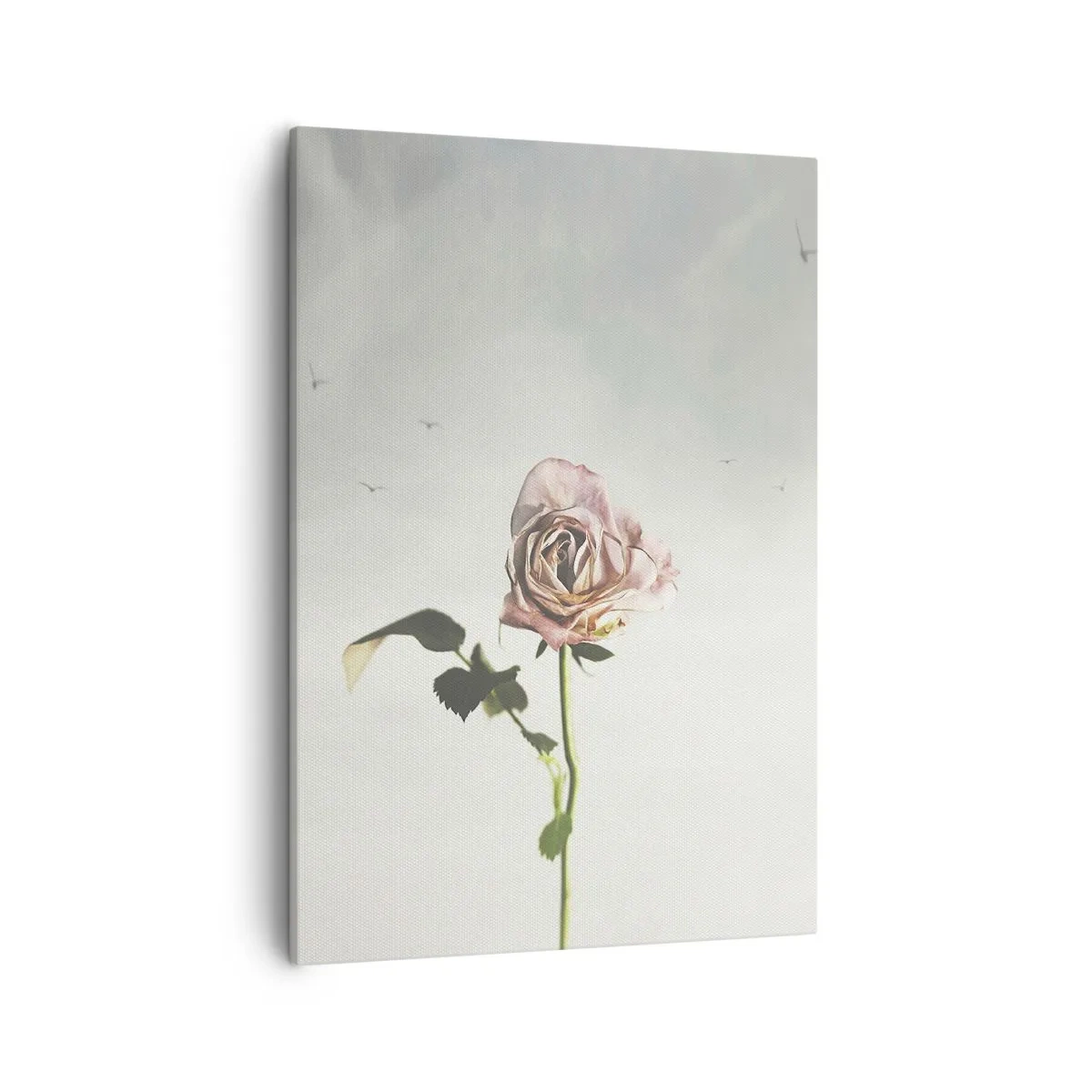 Bild auf Leinwand - Leinwandbild - Eine zarte Rose vor einem hellen Himmel mit fliegenden Vögeln - 50x70cm - Begrüßung des Frühlings - Moderne Wanddekoration für Wohnzimmer und Schlafzimmer ARTTOR