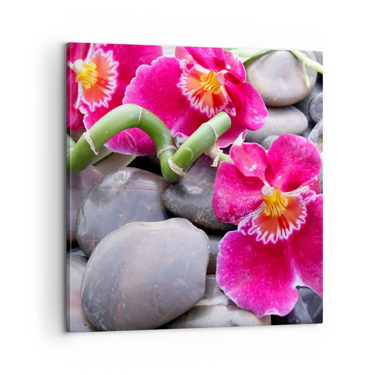 Bild auf Leinwand - Leinwandbild - Kühlen und erhitzen - 60x60 cm