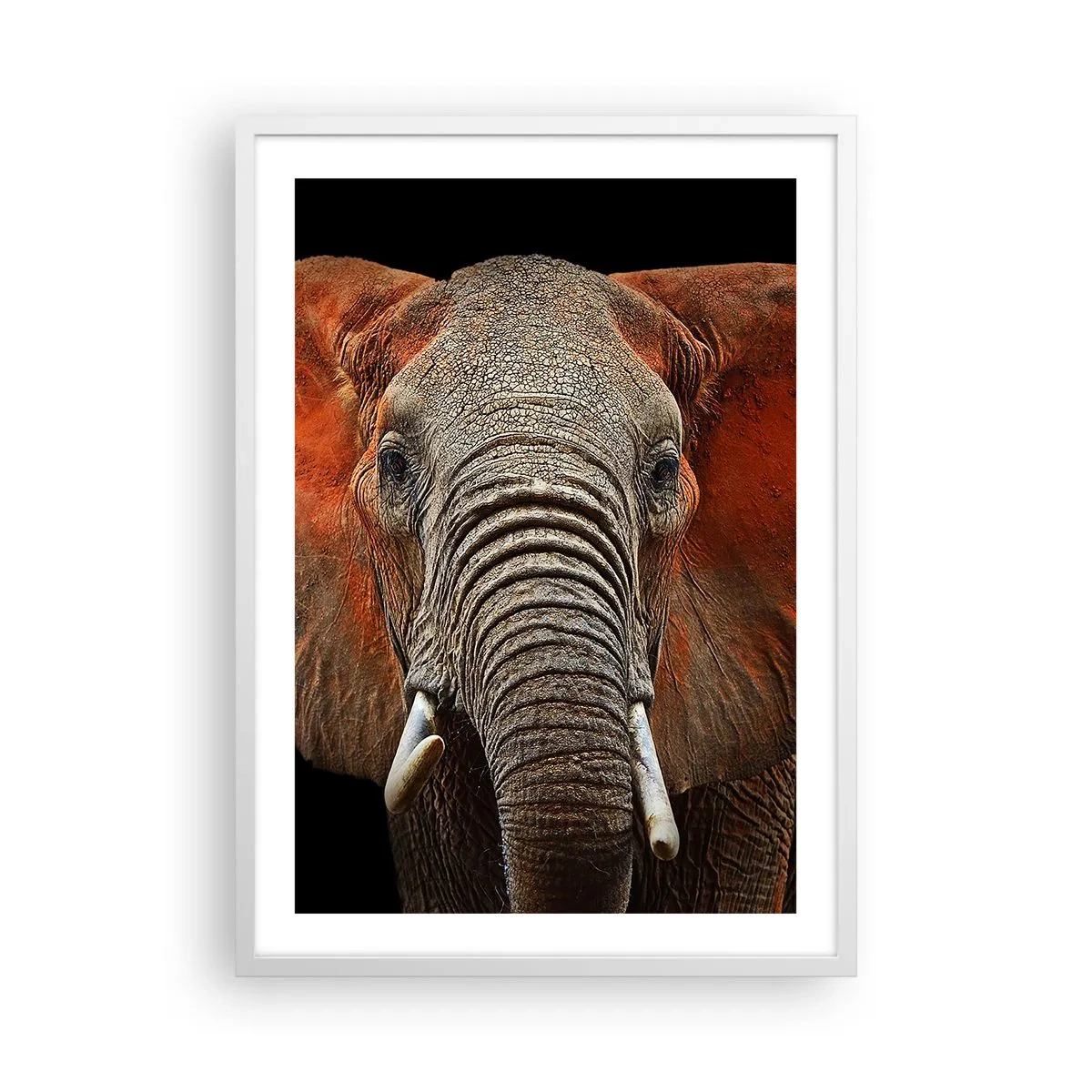 Poster in einem weißen Rahmen - Ich bin wild und du? - 50x70 cm