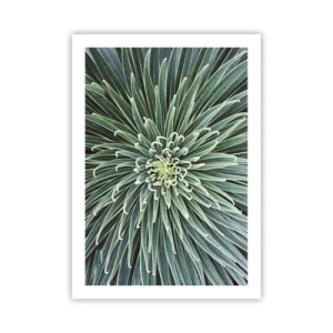 Poster - Eine Nahaufnahme einer grünen Pflanze mit symmetrischen Blättern. - 50x70cm - Ein Star ist geboren - Moderne Wanddekoration für Wohnzimmer und Schlafzimmer ARTTOR