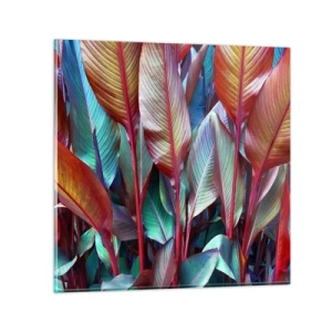 Glasbild - Bild auf glas - Buntes Dickicht - 40x40 cm