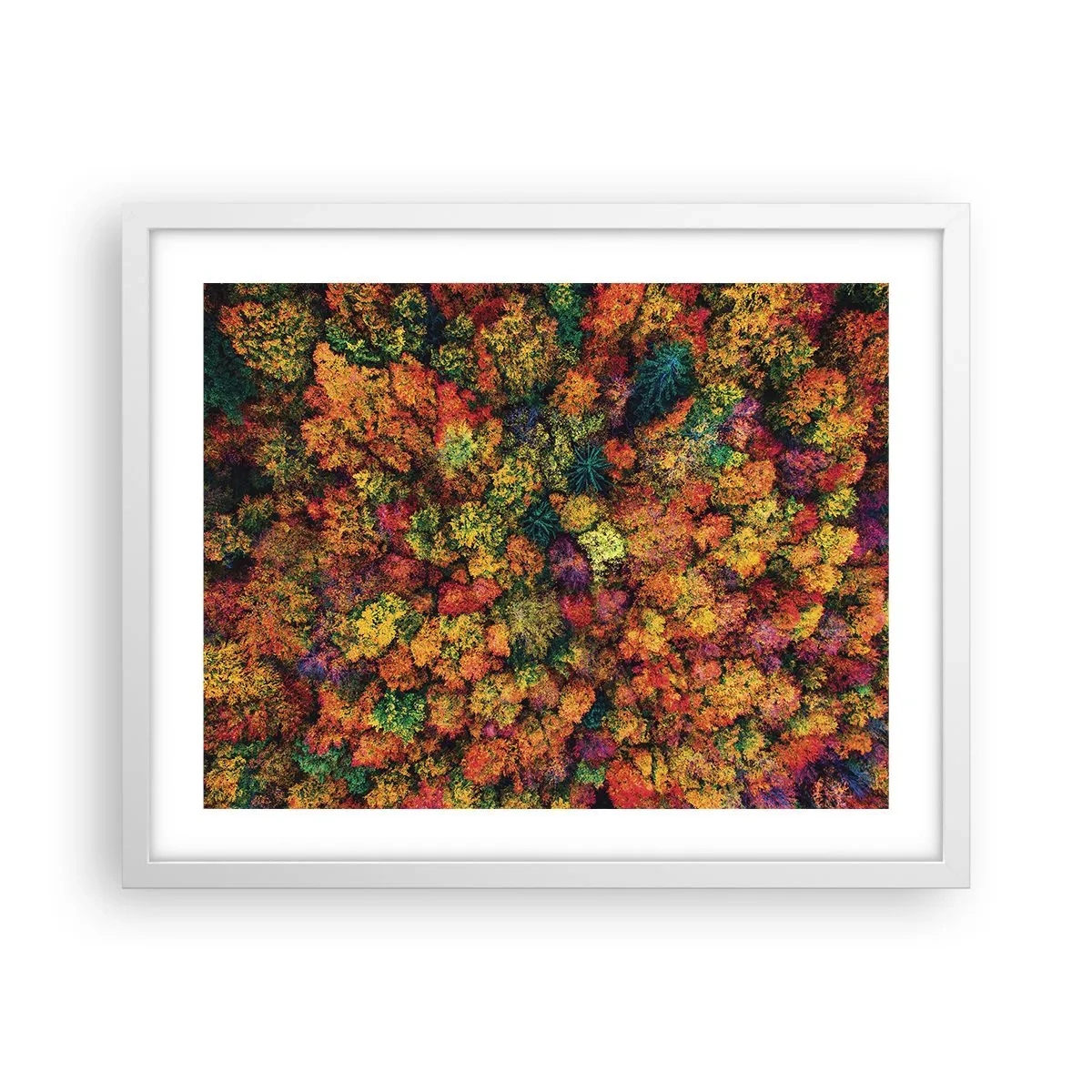 Poster in einem weißen Rahmen - Blumenstrauß aus Herbstbäumen - 50x40 cm