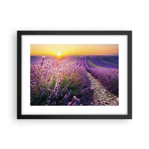 Poster in einem schwarzem Rahmen - Duftende Kornfelder - 40x30 cm