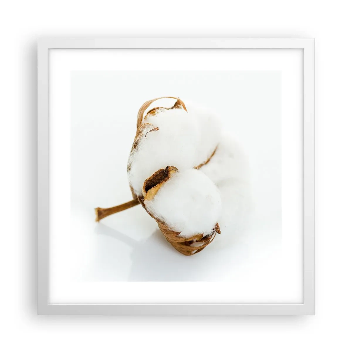 Poster in einem weißen Rahmen - Von Natur aus weich - 40x40 cm