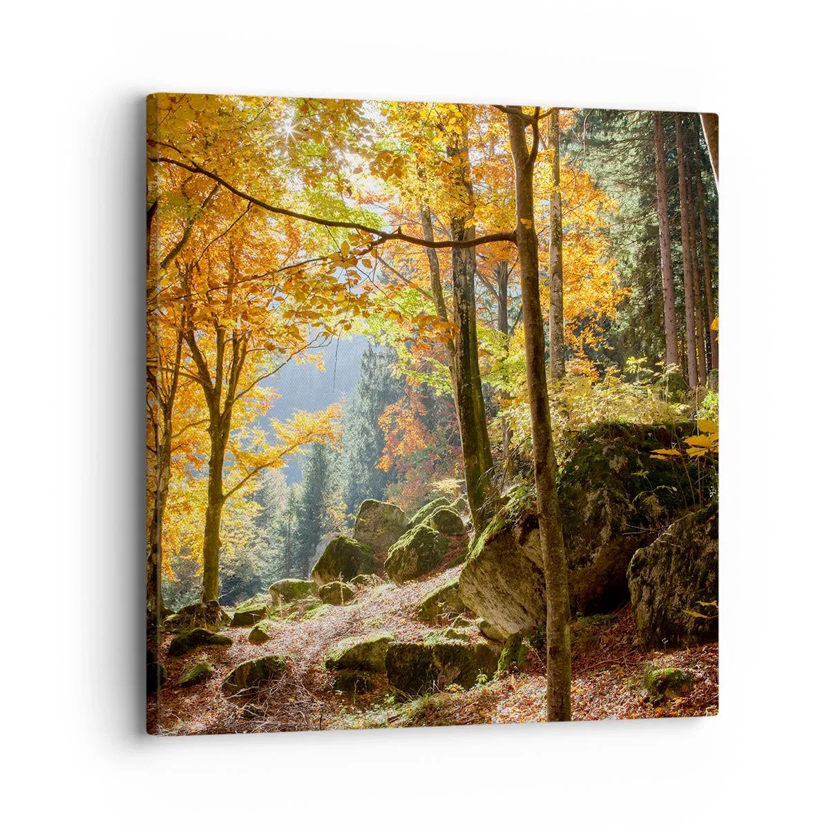 Bild auf Leinwand - Leinwandbild - Zeit zum Entspannen - 30x30 cm