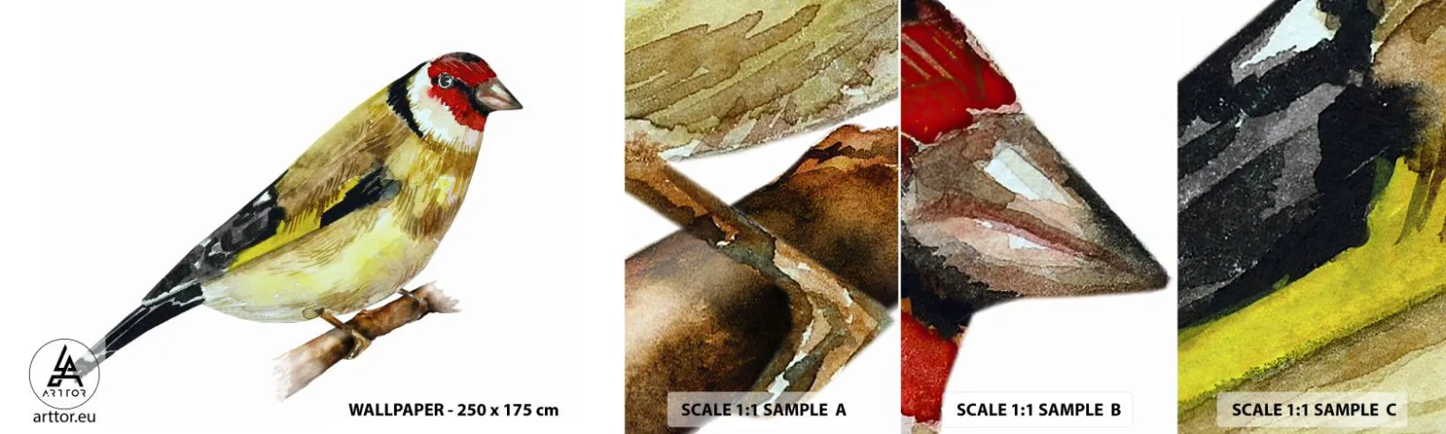 Fototapeten Muster Selbstklebend Deluxe Sticker - Vogelporträt - Stieglitz, Vogel, Stück - 100x30 cm