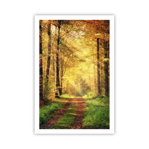 Poster - Waldgoldene Stille - 61x91 cm