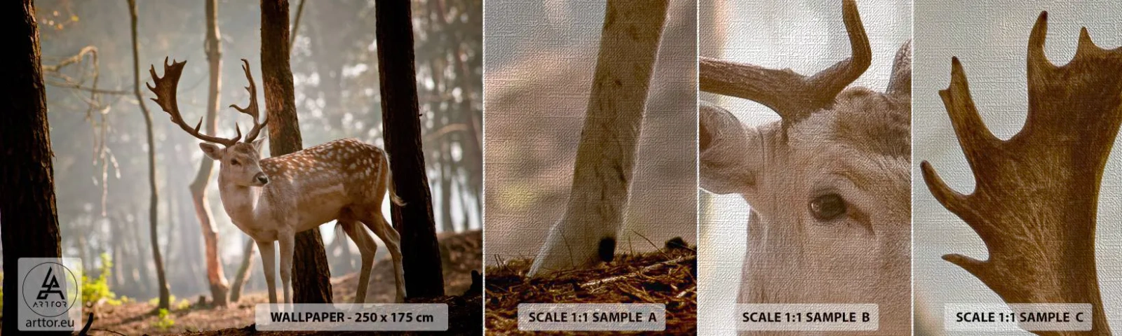 Fototapeten Muster Premium Canvas - Das Licht der Jugend - Tiere, Reh, Wald - 100x30 cm